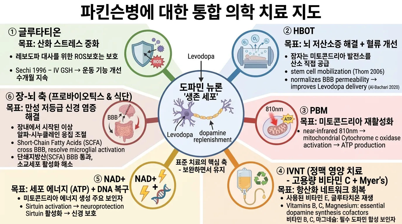 통합 의학 치료 지도 — 파킨슨병을 위한 6가지 보조 치료법